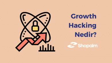 Growth Hacking Nedir