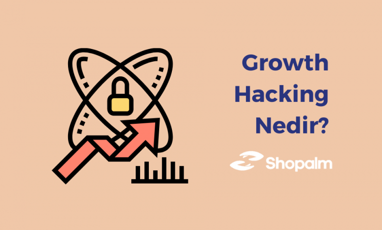 Growth Hacking Nedir