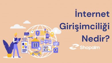 İnternet Girişimciliği Nedir?